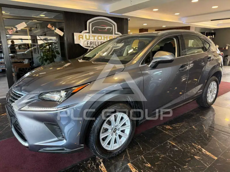 2018 Lexus NX300