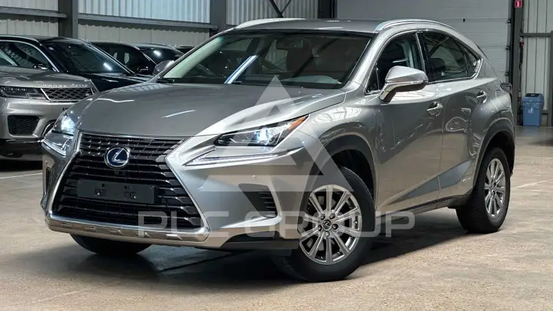 2018 Lexus NX300