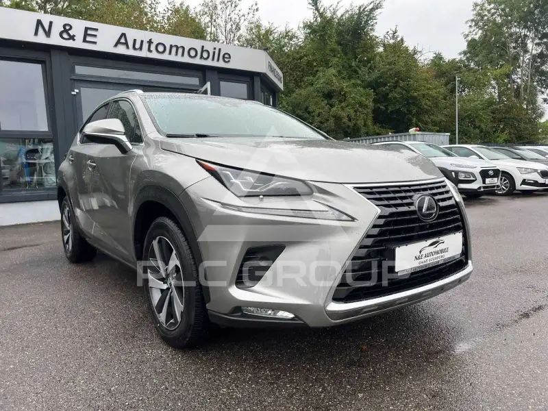 2018 Lexus NX300