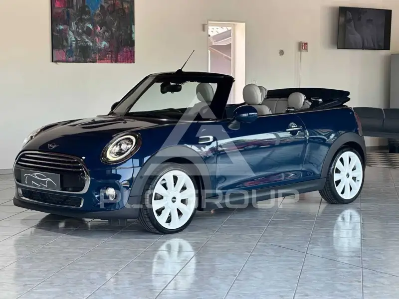 2018 Mini Unknown