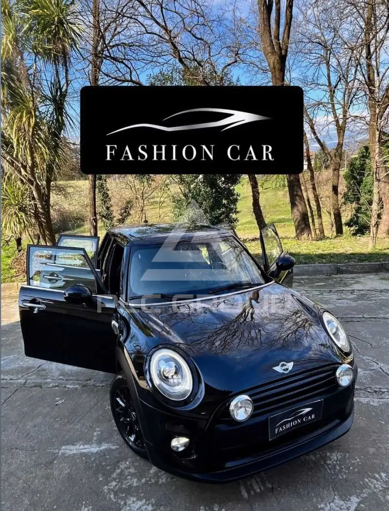 2018 Mini Unknown