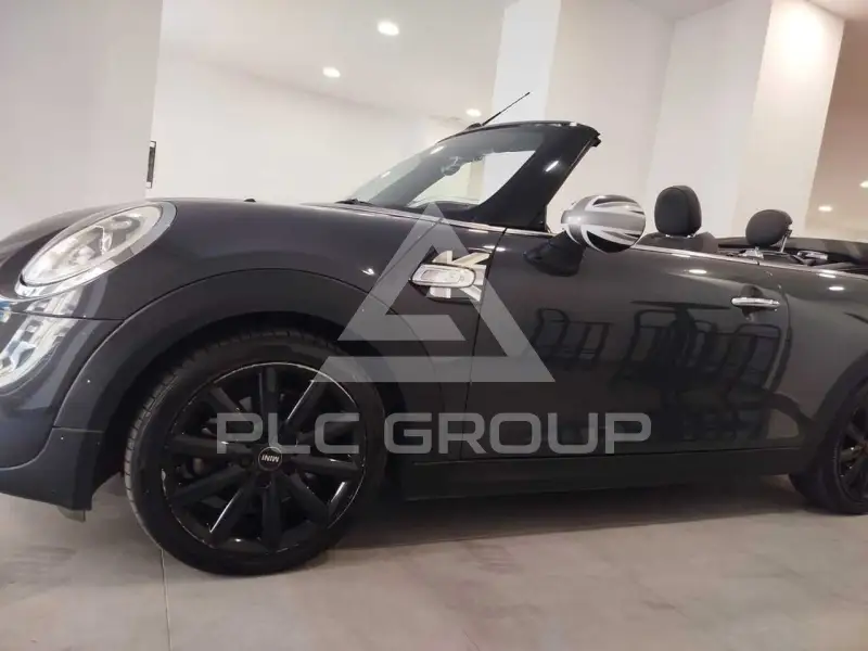 2018 Mini Unknown