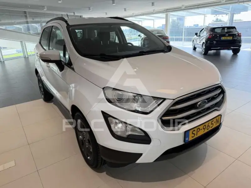 2018 Ford Eco Sport