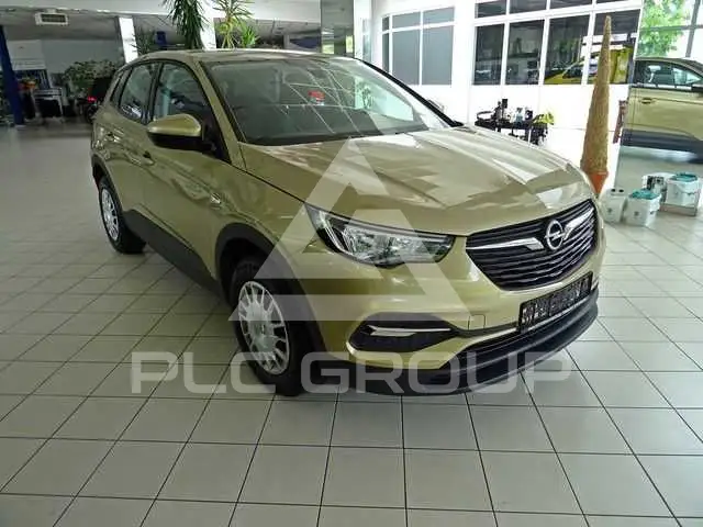 2018 Opel GrandlandX
