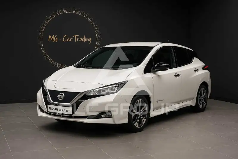 2019 Nissan LEAF