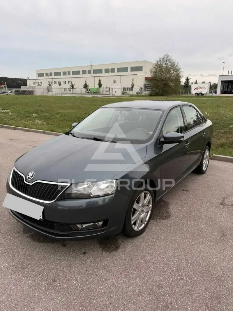2019 Skoda Rapid