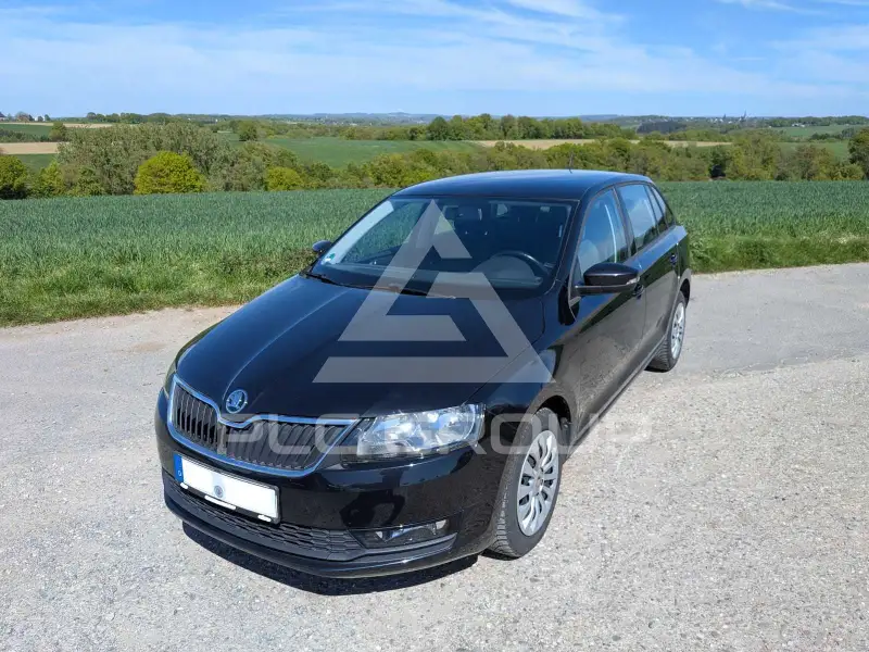 2019 Skoda Rapid