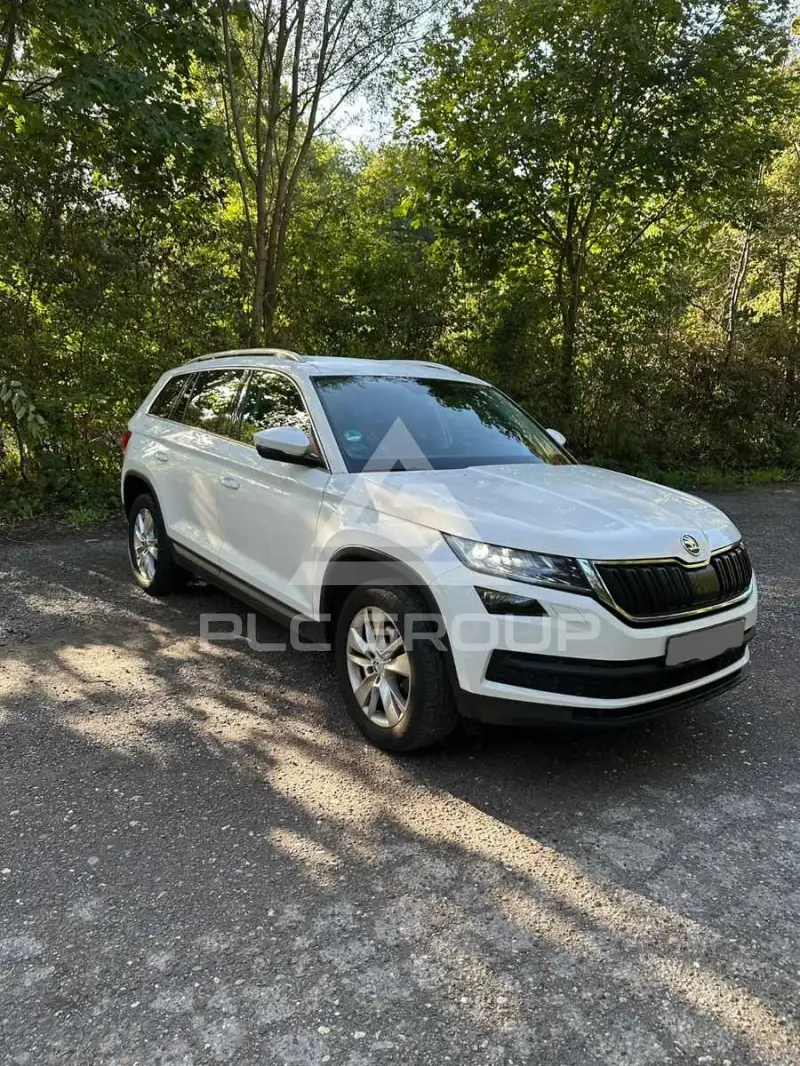 2019 Skoda Kodiaq