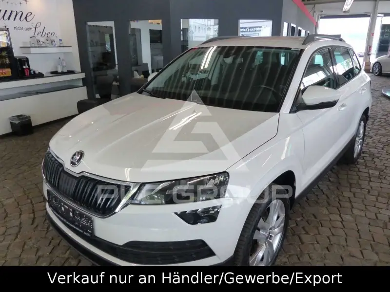 2019 Skoda Kodiaq