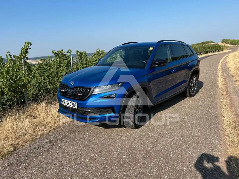 2019 Skoda Kodiaq