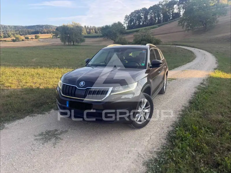 2019 Skoda Kodiaq