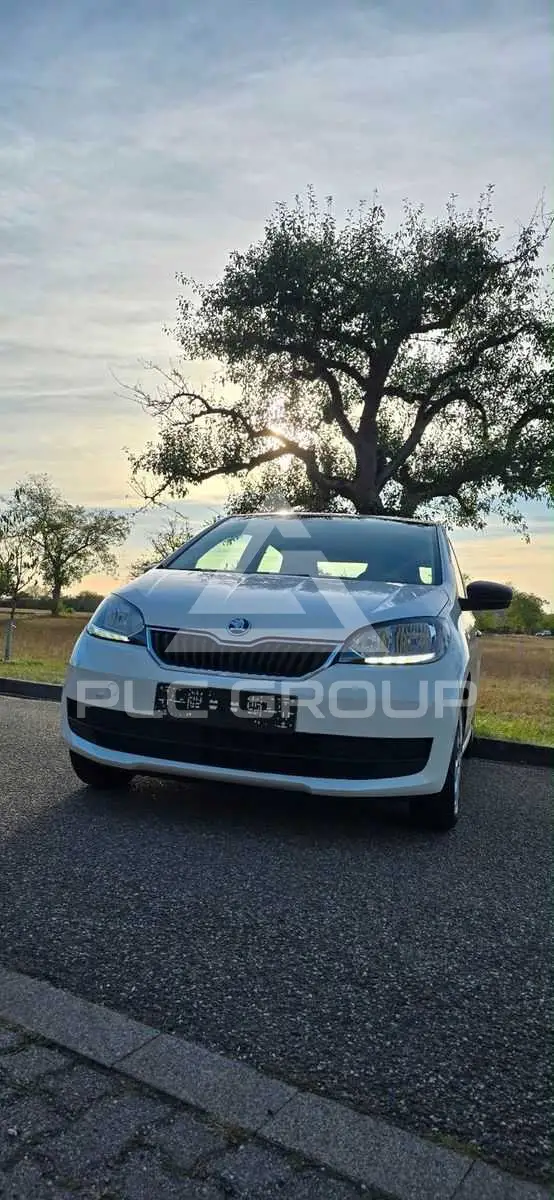 2019 Skoda Citigo