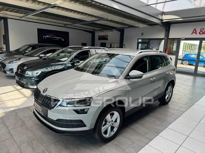 2019 Skoda Karoq