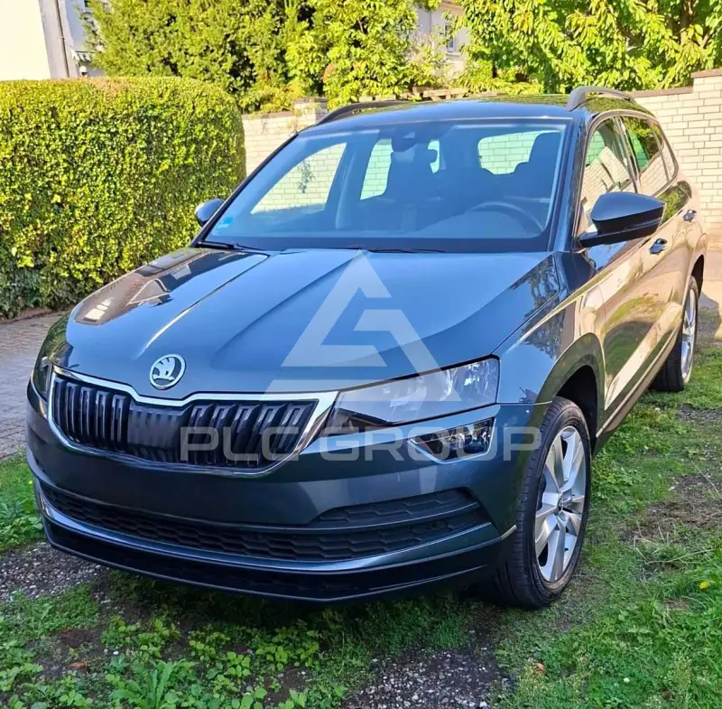 2019 Skoda Karoq