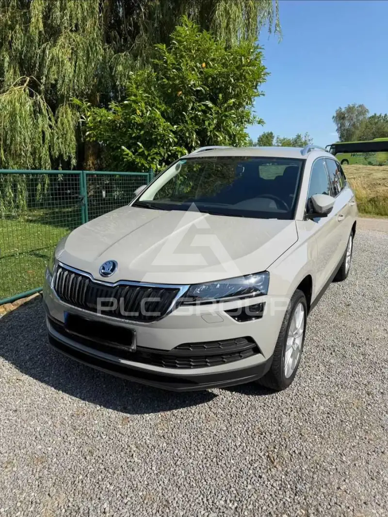 2019 Skoda Karoq