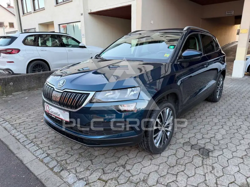2019 Skoda Karoq