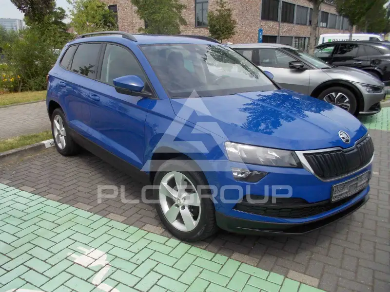 2019 Skoda Karoq