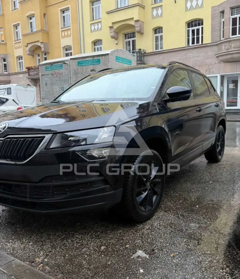 2019 Skoda Karoq