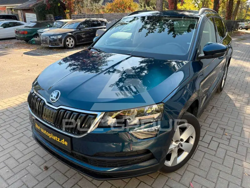 2019 Skoda Karoq