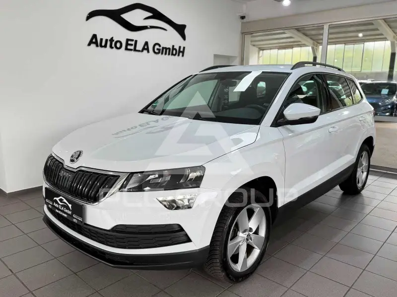 2019 Skoda Karoq