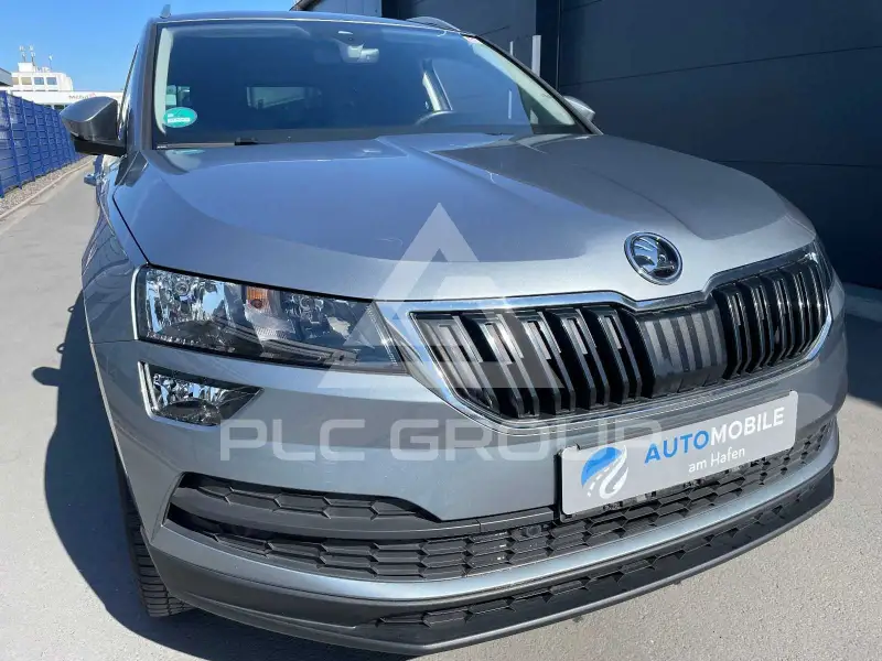 2019 Skoda Karoq