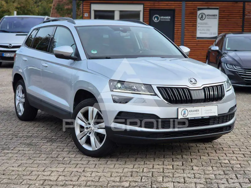 2019 Skoda Karoq
