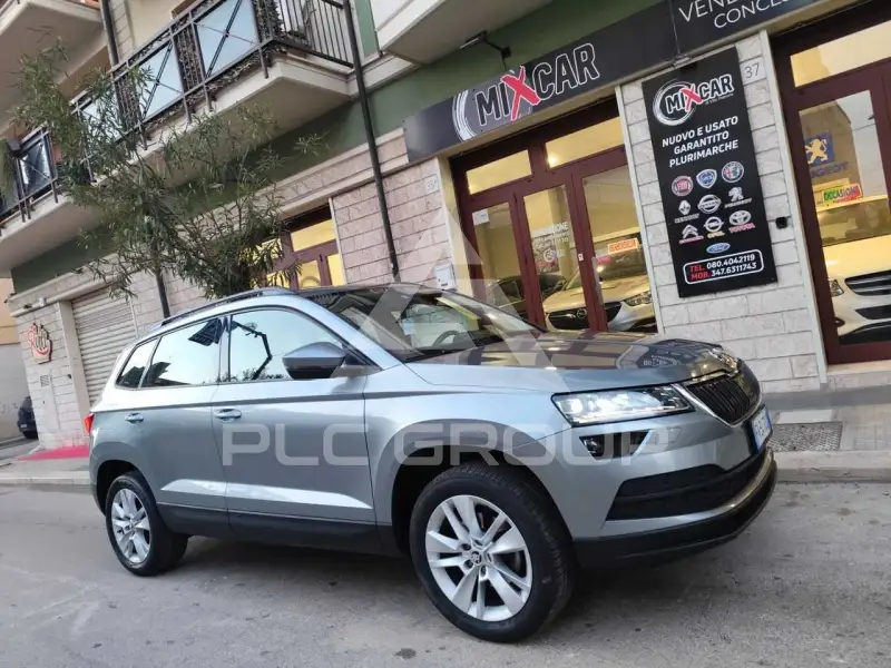 2019 Skoda Karoq