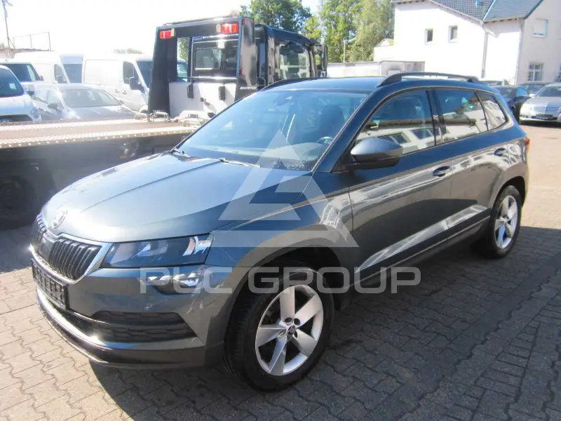 2019 Skoda Karoq