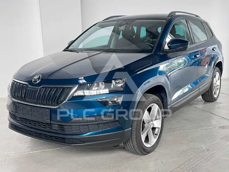 2019 Skoda Karoq