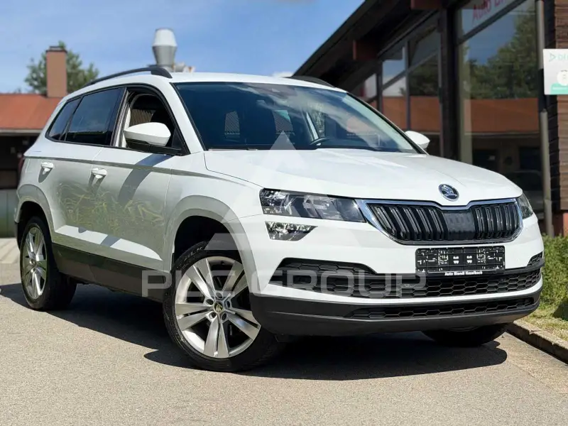 2019 Skoda Karoq