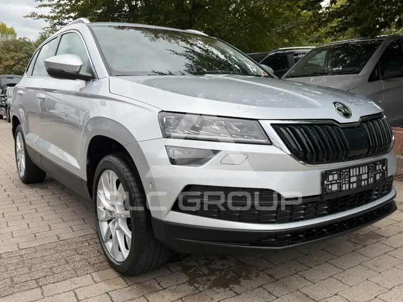 2019 Skoda Karoq