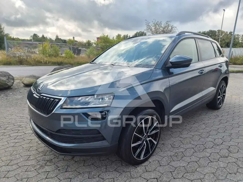 2019 Skoda Karoq