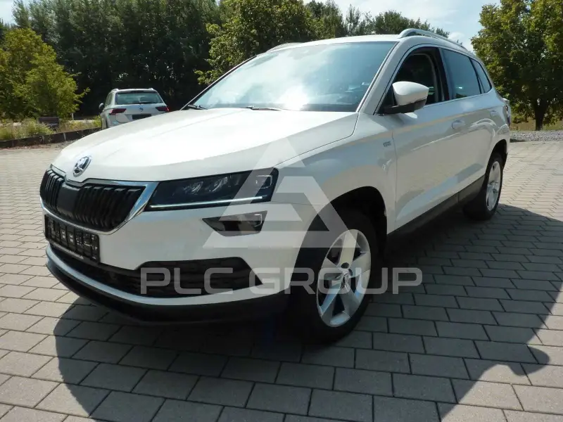 2019 Skoda Karoq