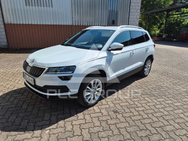 2019 Skoda Karoq