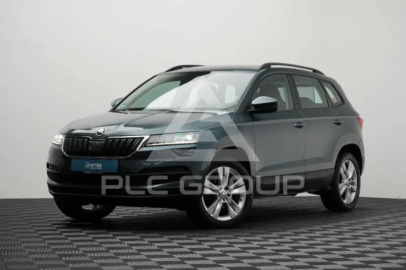 2019 Skoda Karoq