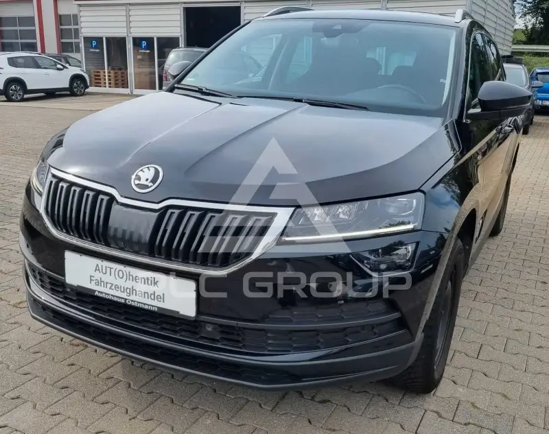 2019 Skoda Karoq