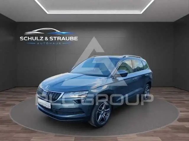 2019 Skoda Karoq