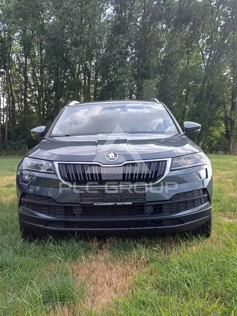 2019 Skoda Karoq
