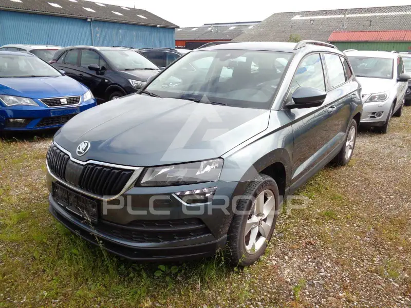 2019 Skoda Karoq