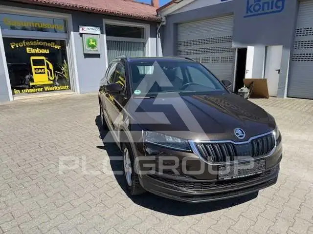 2019 Skoda Karoq