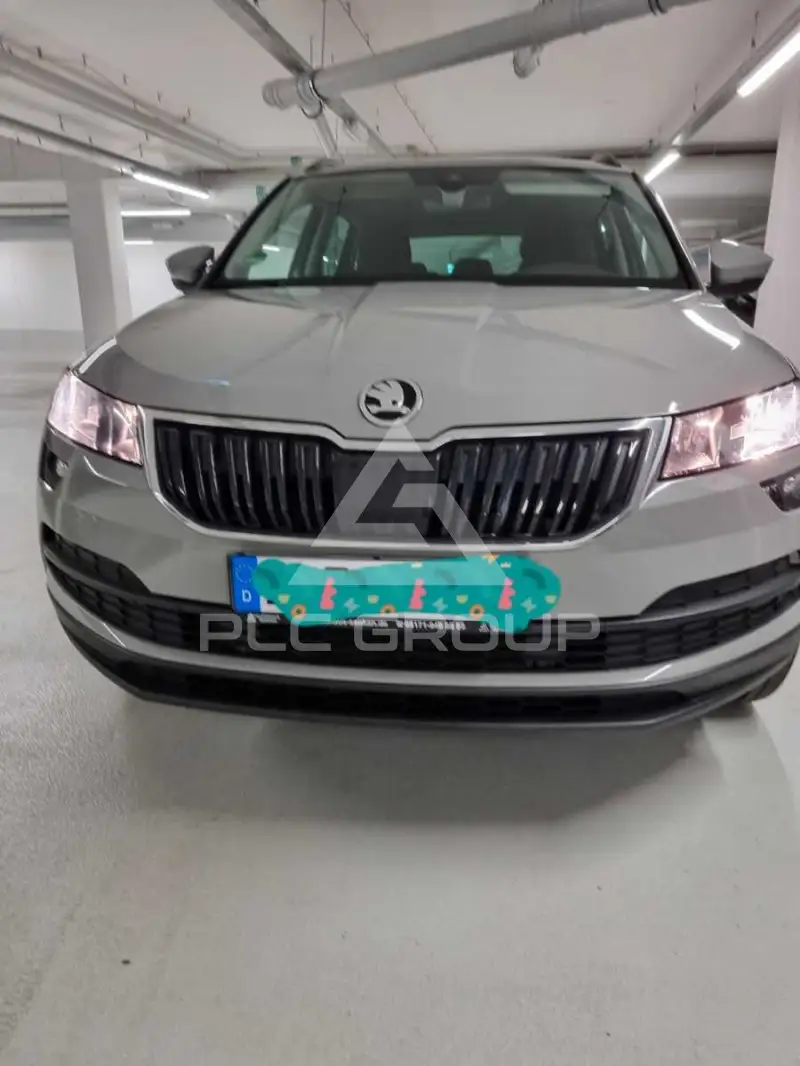 2019 Skoda Karoq