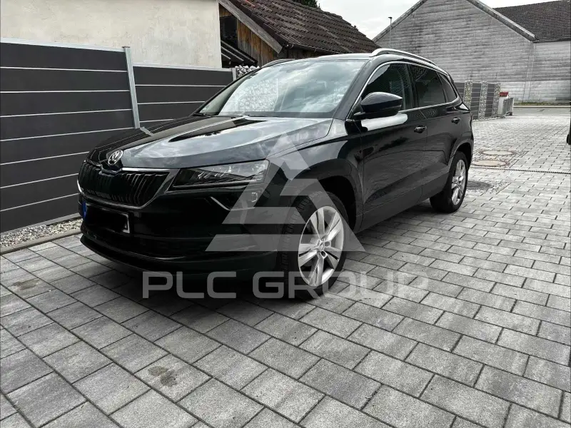 2019 Skoda Karoq