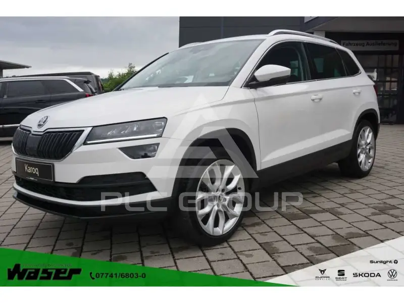 2019 Skoda Karoq