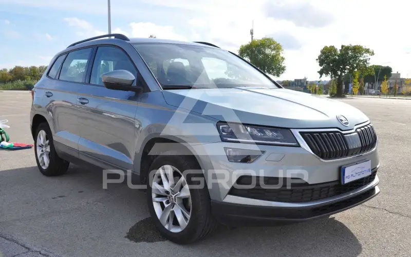 2019 Skoda Karoq