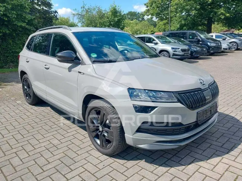 2019 Skoda Karoq