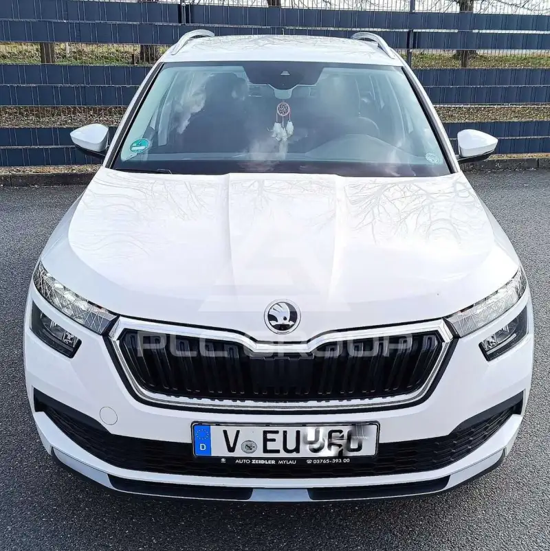 2019 Skoda KAMIQ