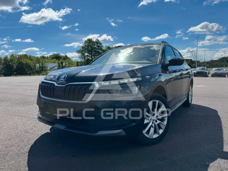 2019 Skoda KAMIQ