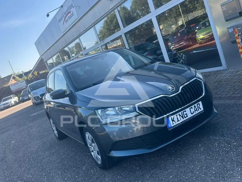 2019 Skoda Fabia