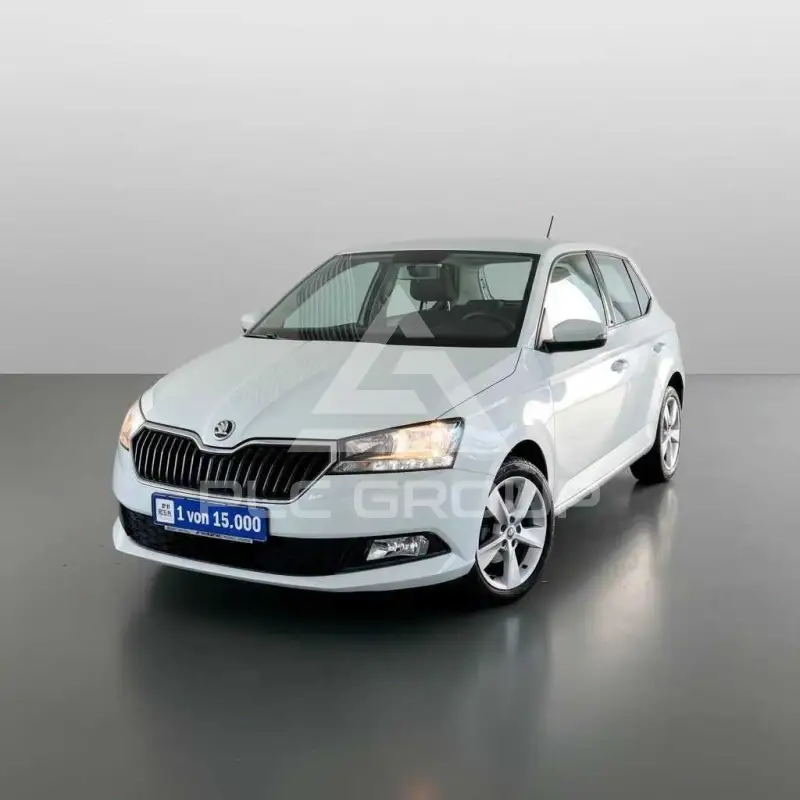 2019 Skoda Fabia