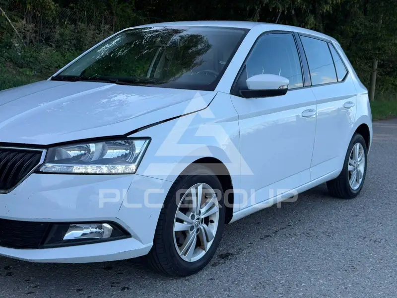 2019 Skoda Fabia